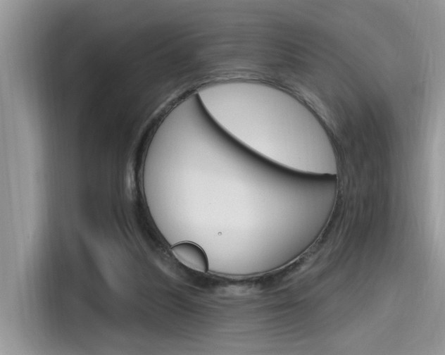 X0000115710251200911121009