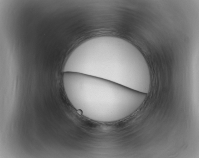 X0000115710255200911121009