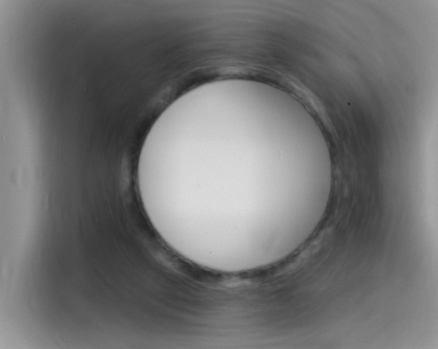 X0000115710257200911121009