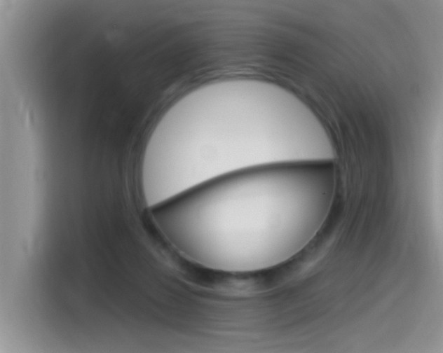 X0000115710260200911121009