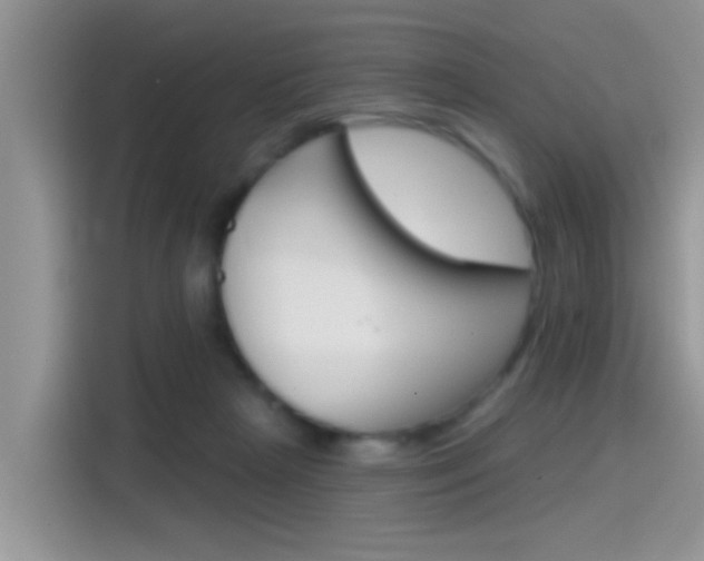 X0000115710265200911121009