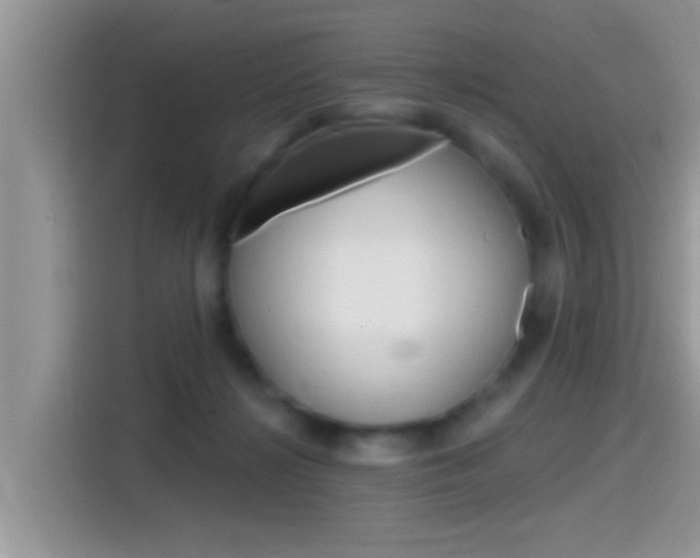 X0000115710268200911121009