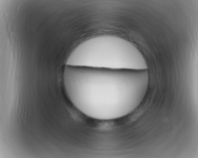 X0000115710274200911121009