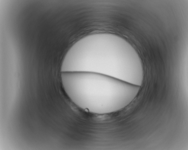 X0000115710277200911121009