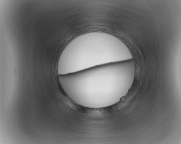 X0000115710282200911121009