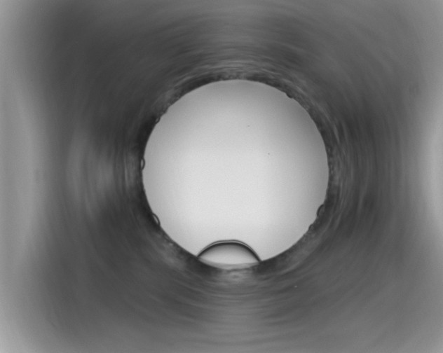 X0000115710283200911121009