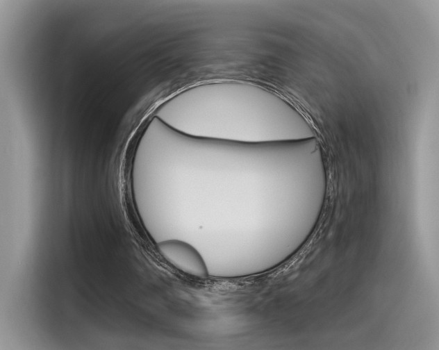 X0000115710290200911121009