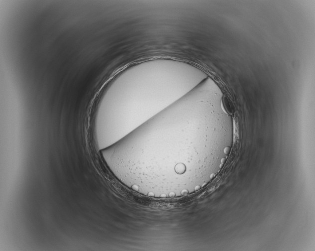 X0000115710291200911121009