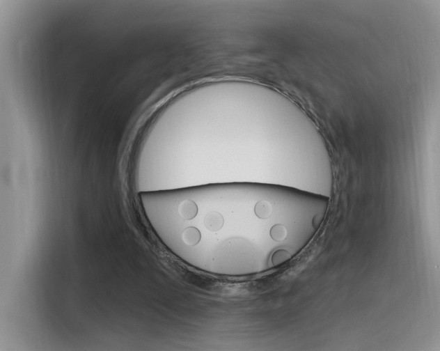 X0000115710295200911121008