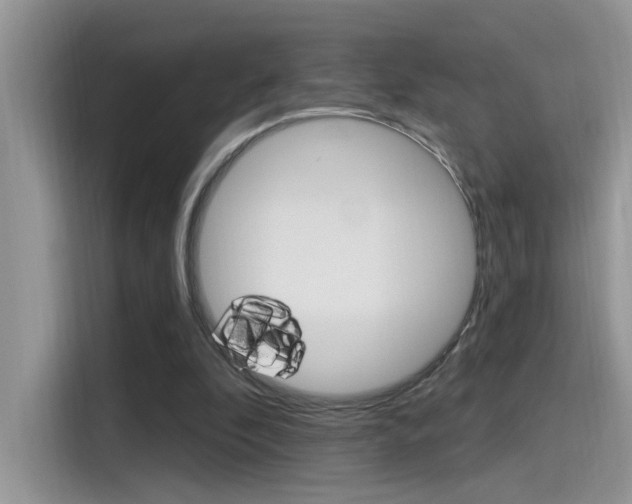 X0000115710296200911121008