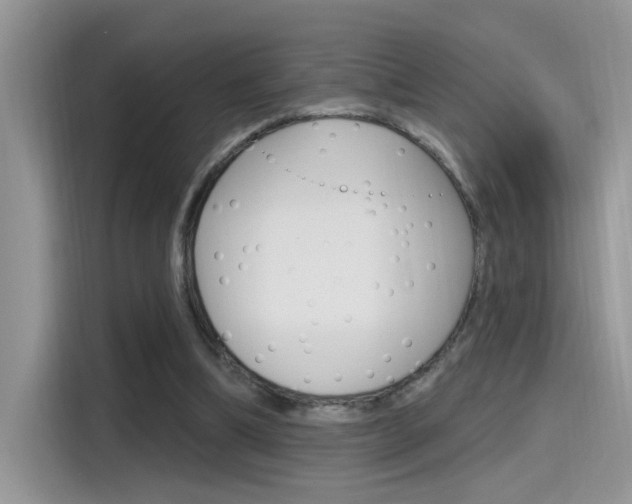 X0000115710298200911121008