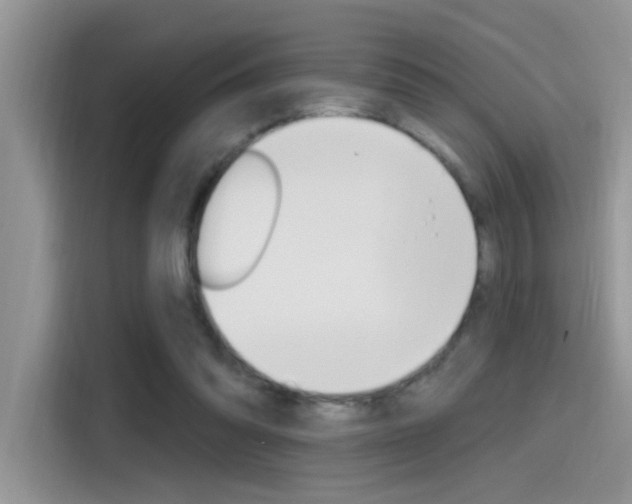 X0000115710302200911121008