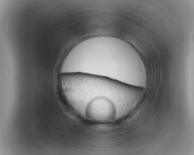 X0000115710303200911121008