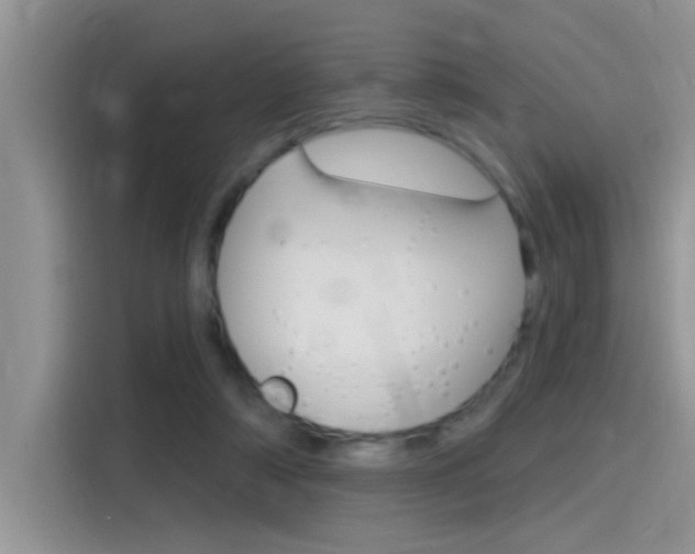 X0000115710306200911121008