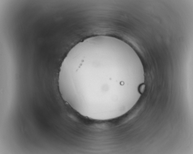 X0000115710307200911121008