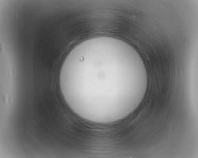 X0000115710308200911121008