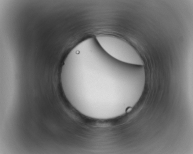 X0000115710311200911121008