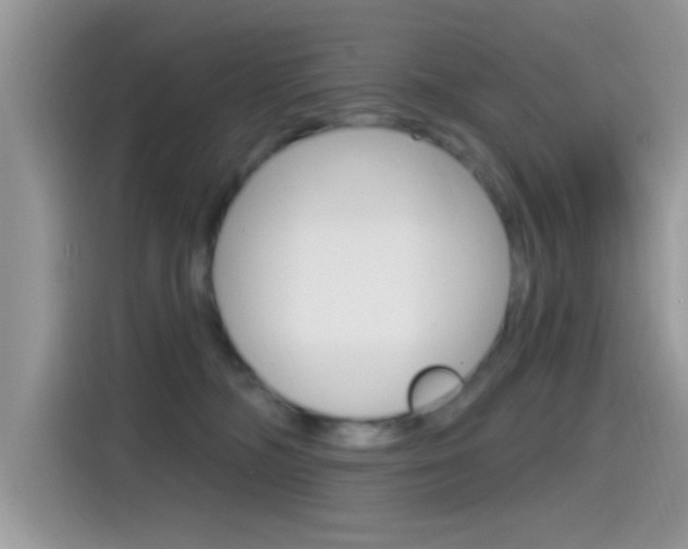 X0000115710326200911121008