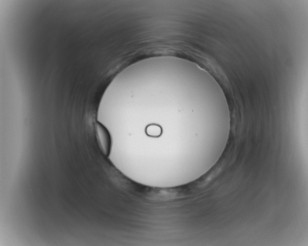 X0000115710329200911121008