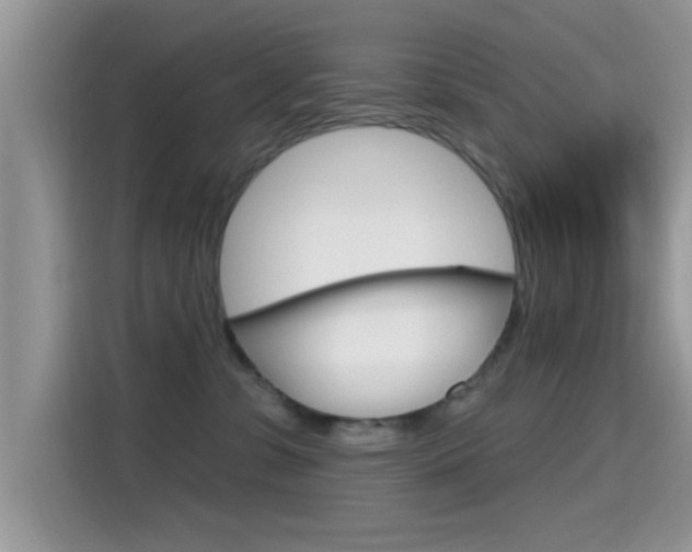 X0000115710331200911121008