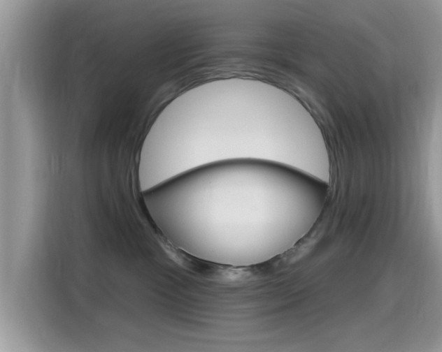 X0000115710333200911121008