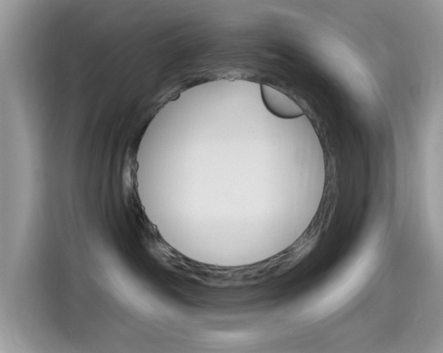 X0000115710334200911121008