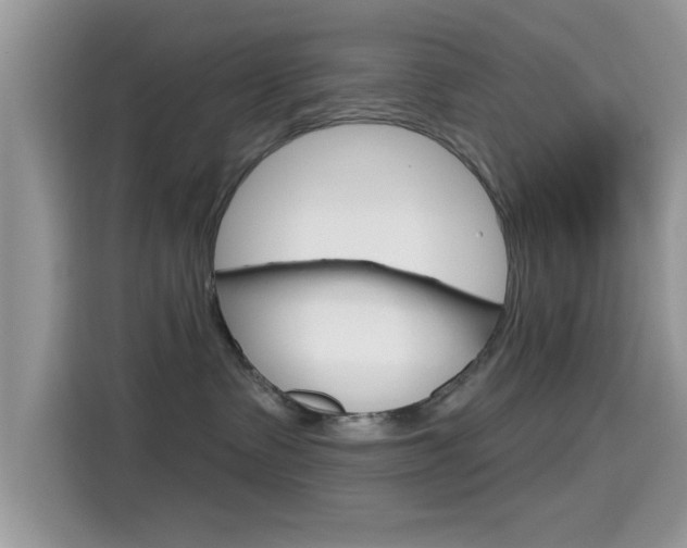 X0000115710335200911121008