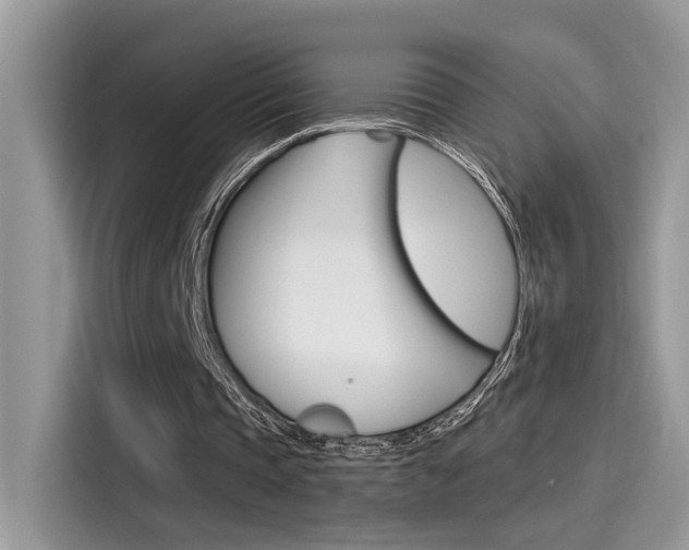 X0000115710337200911121007