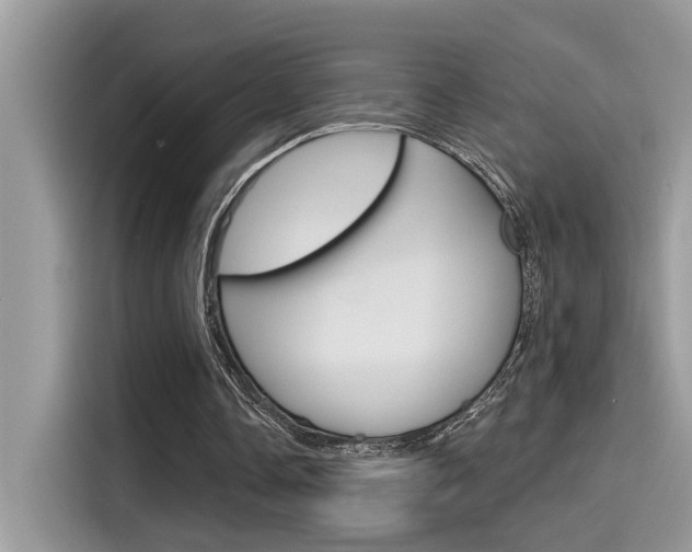 X0000115710338200911121007