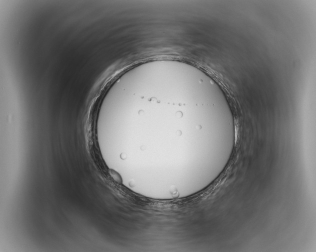 X0000115710339200911121007