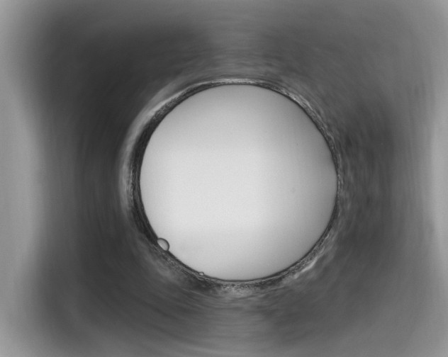 X0000115710343200911121007