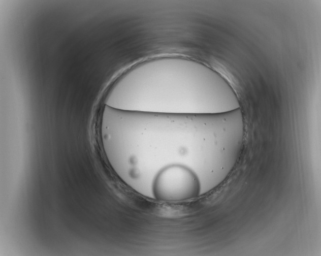 X0000115710346200911121007