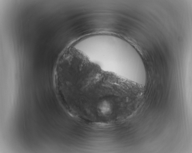 X0000115710347200911121007