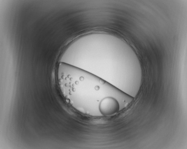 X0000115710349200911121007