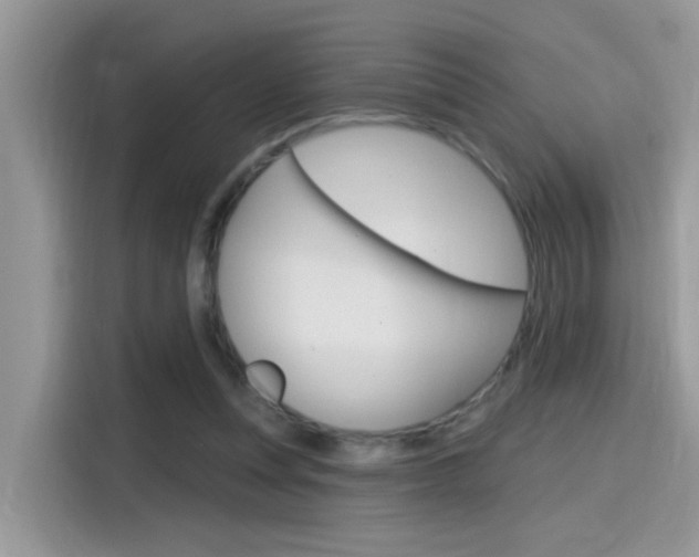 X0000115710351200911121008