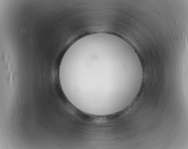 X0000115710355200911121008