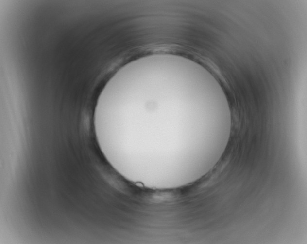 X0000115710357200911121008