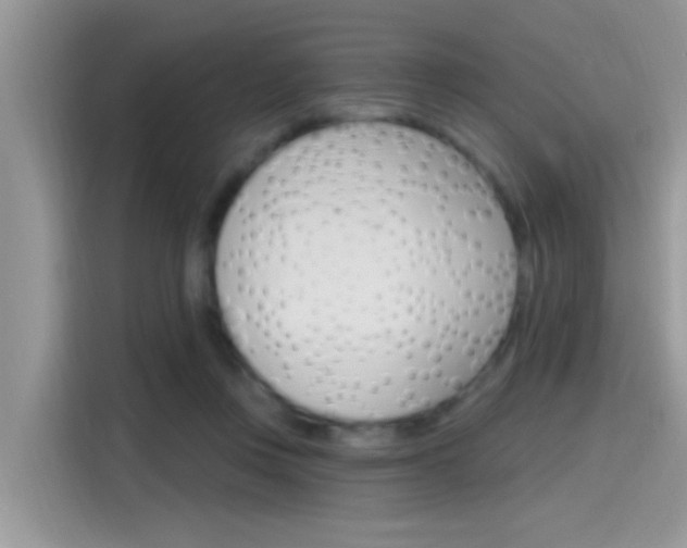 X0000115710359200911121008