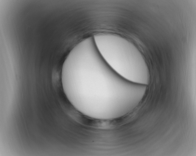 X0000115710365200911121008