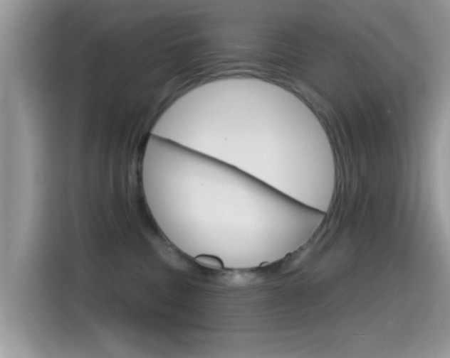 X0000115710379200911121008