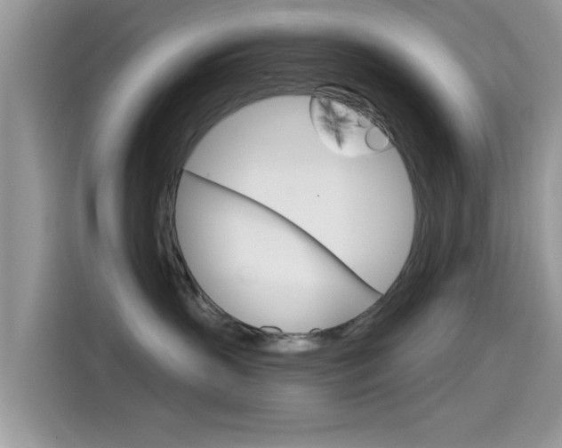 X0000115710383200911121008