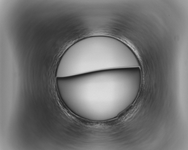 X0000115710385200911121007