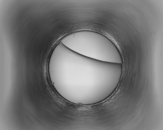 X0000115710386200911121007