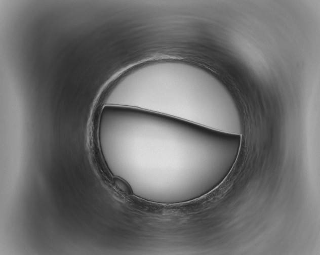 X0000115710388200911121007