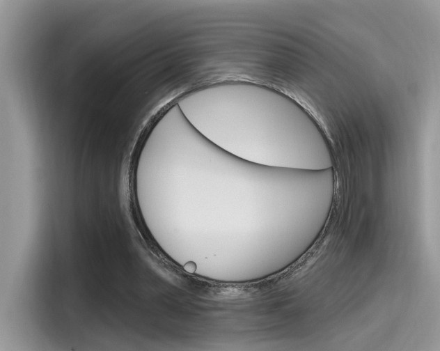 X0000115710390200911121007