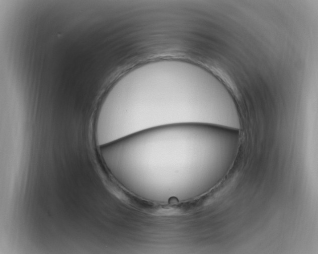 X0000115710397200911121007