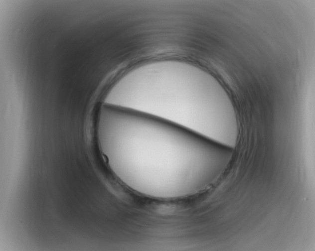 X0000115710400200911121007