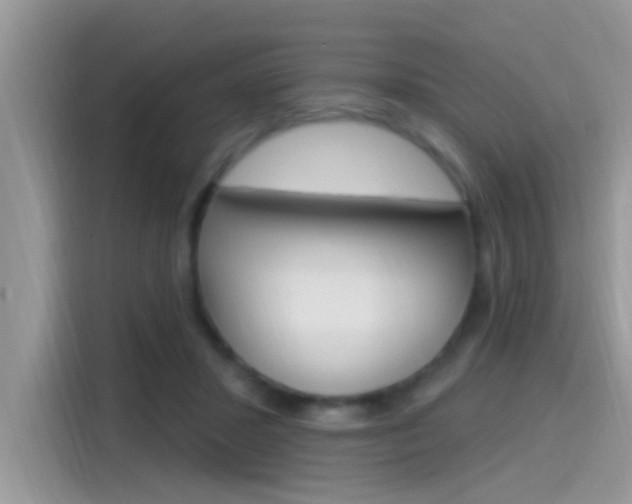 X0000115710407200911121007