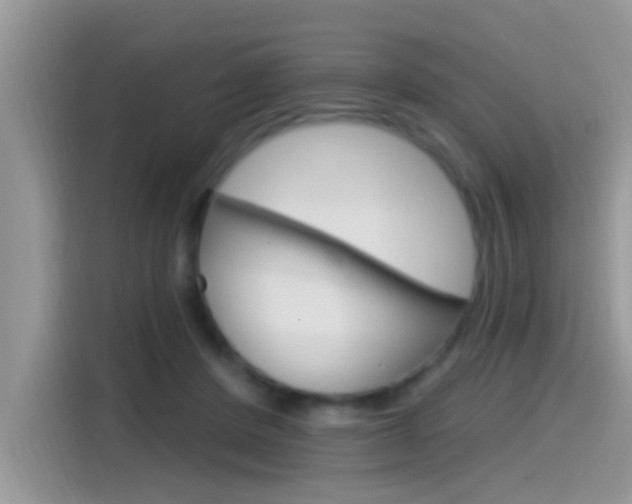 X0000115710408200911121007