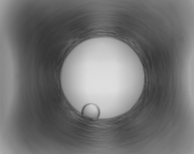 X0000115710423200911121007